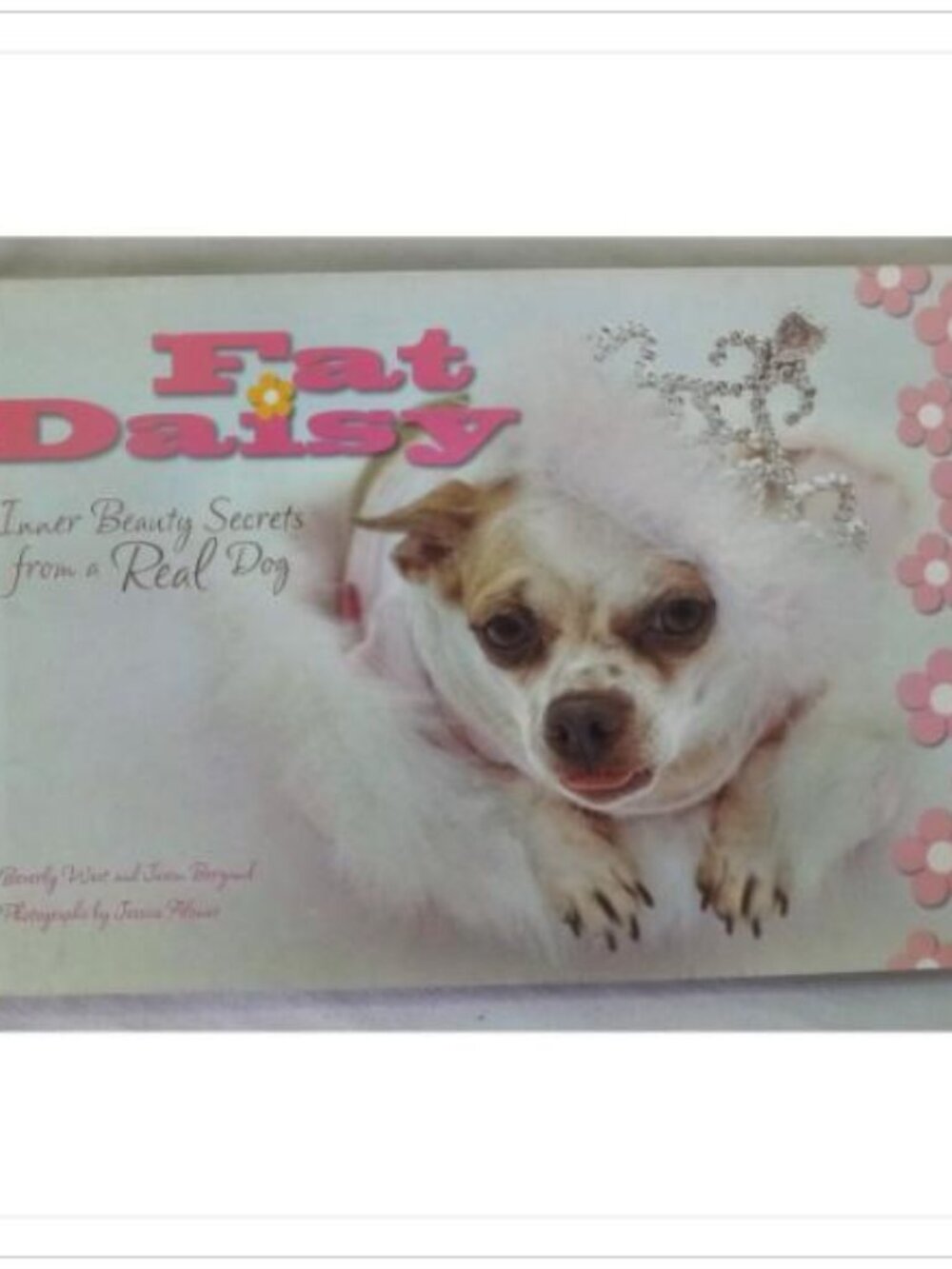 Fat Daisy Inner Beauty Secrets from a Real Dog Andrews McMeel 1st 2006 PB